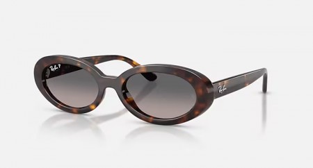Ray Ban rb2223, Havanna